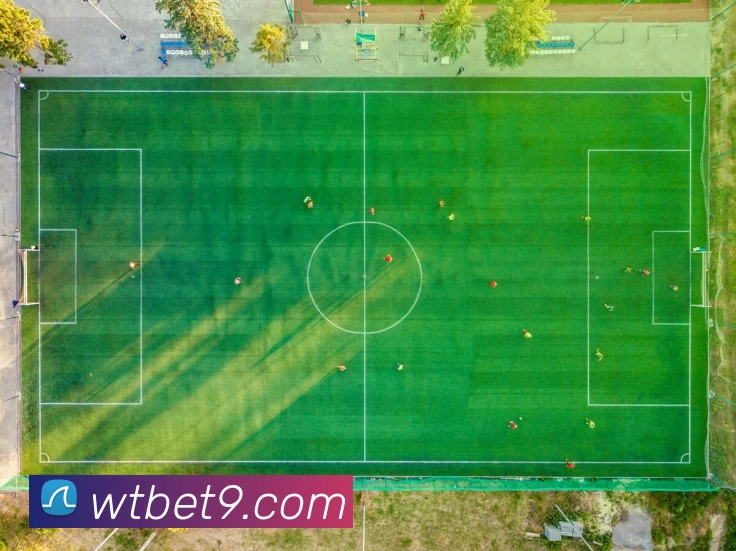 多媒体互动体验